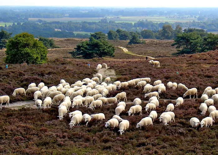 Het Uilennest