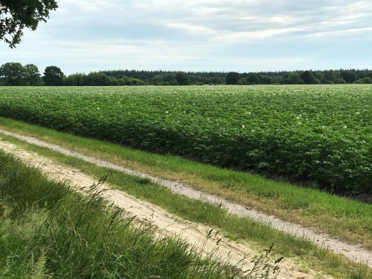 Het Uilennest Bed and breakfast *