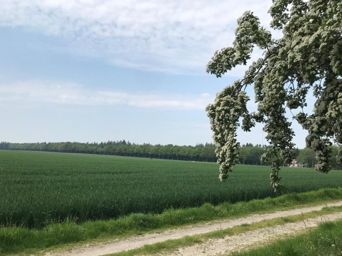Het Uilennest Exloo