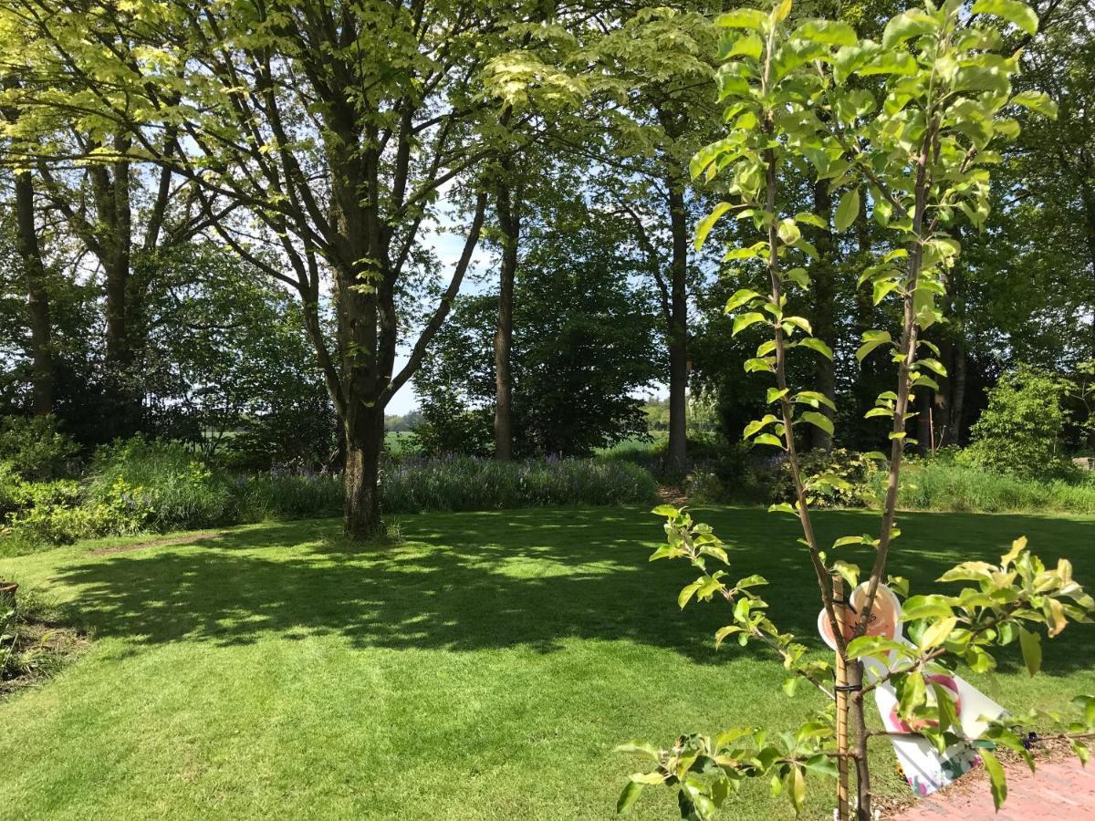 Bed and breakfast Het Uilennest Exloo
