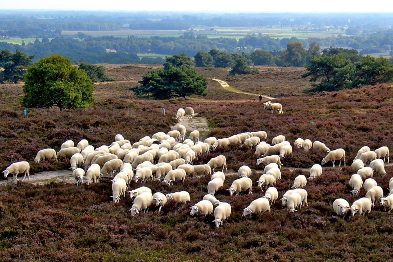 Het Uilennest